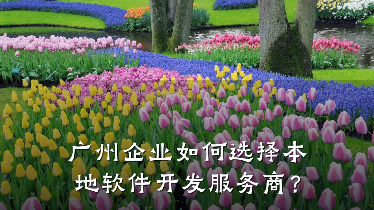 广州企业如何选择本地软件开发服务商？