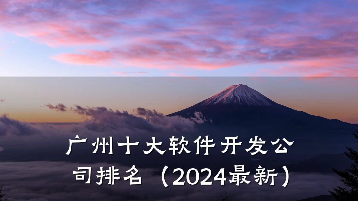 广州十大软件开发公司排名(2024最新)