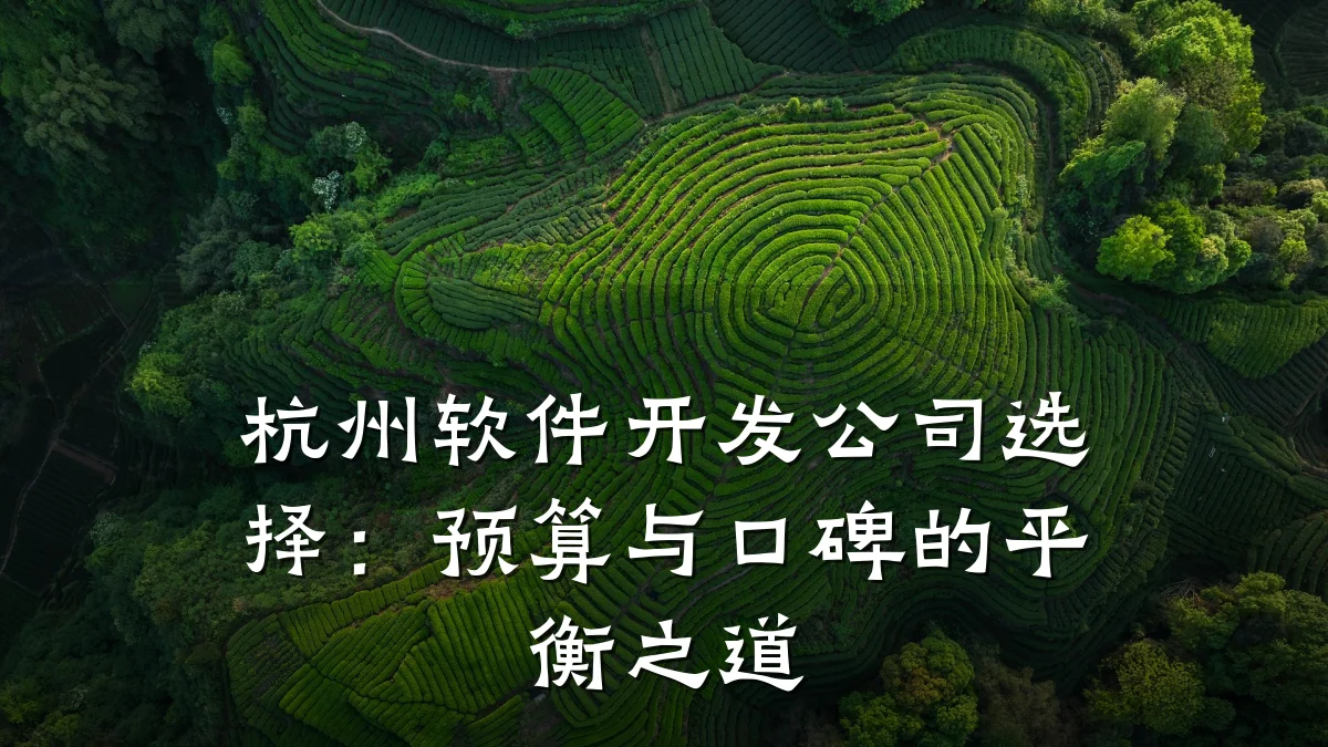 杭州软件开发公司选择:预算与口碑的平衡之道