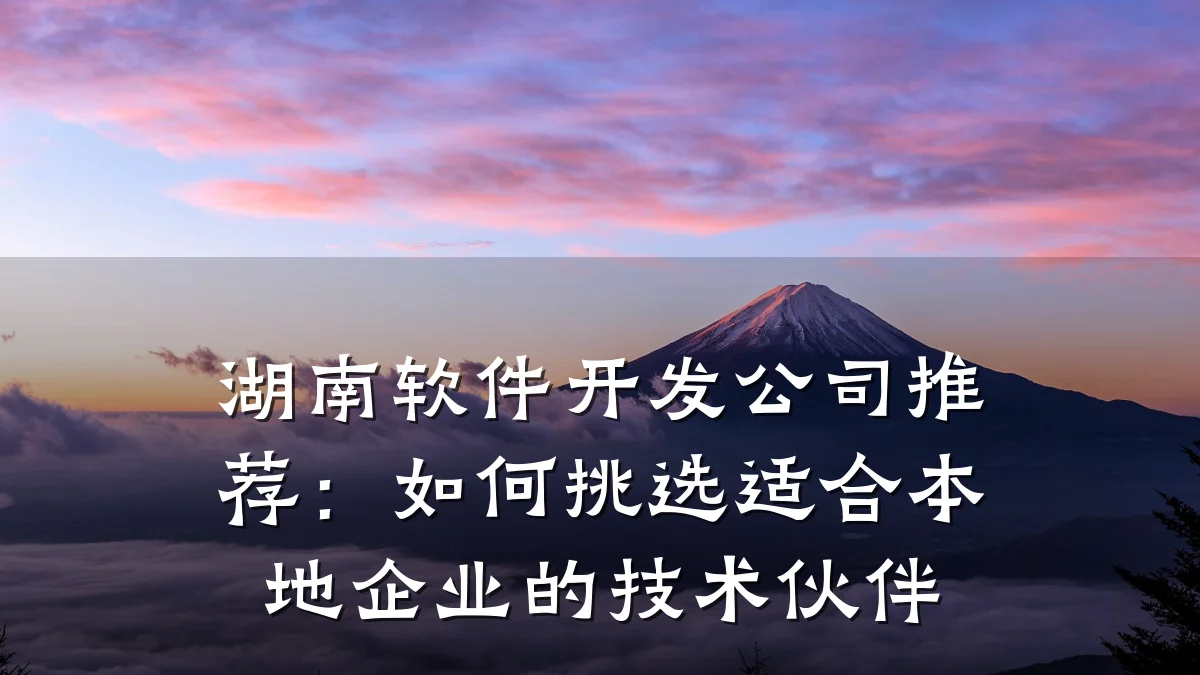 湖南软件开发公司推荐:如何挑选适合本地企业的技术伙伴
