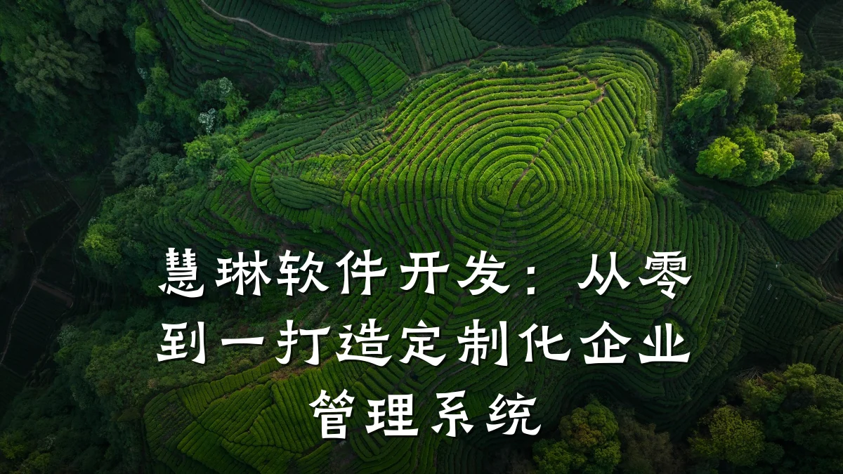 慧琳软件开发:从零到一打造定制化企业管理系统