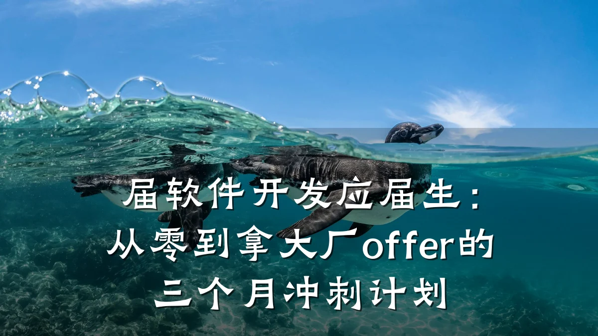 届软件开发应届生:从零到拿大厂offer的三个月冲刺计划