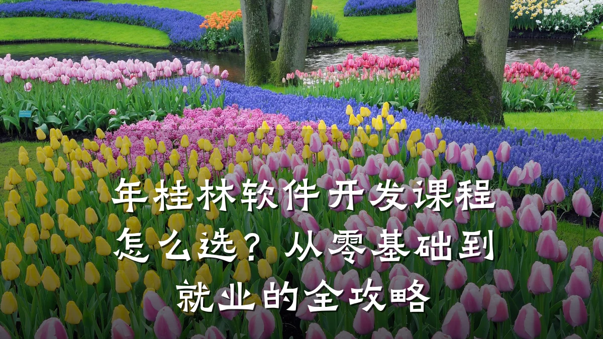 年桂林软件开发课程怎么选?从零基础到就业的全攻略