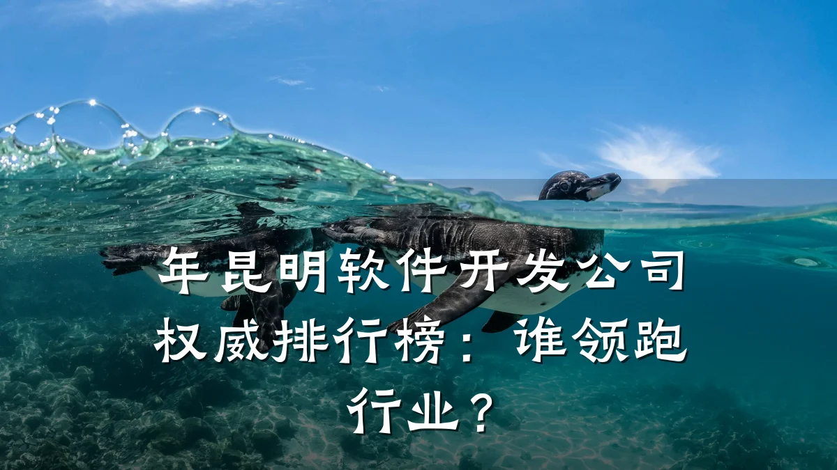 年昆明软件开发公司权威排行榜:谁领跑行业?
