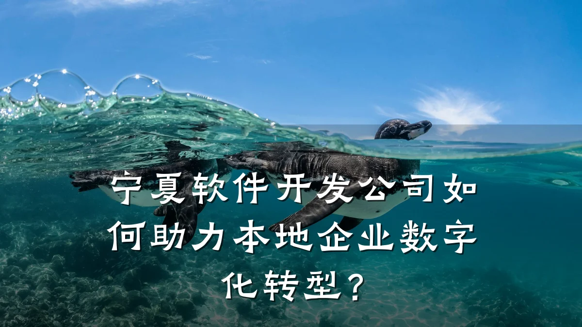 宁夏软件开发公司如何助力本地企业数字化转型?