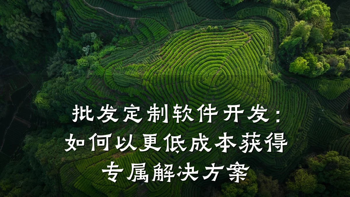 批发定制软件开发:如何以更低成本获得专属解决方案