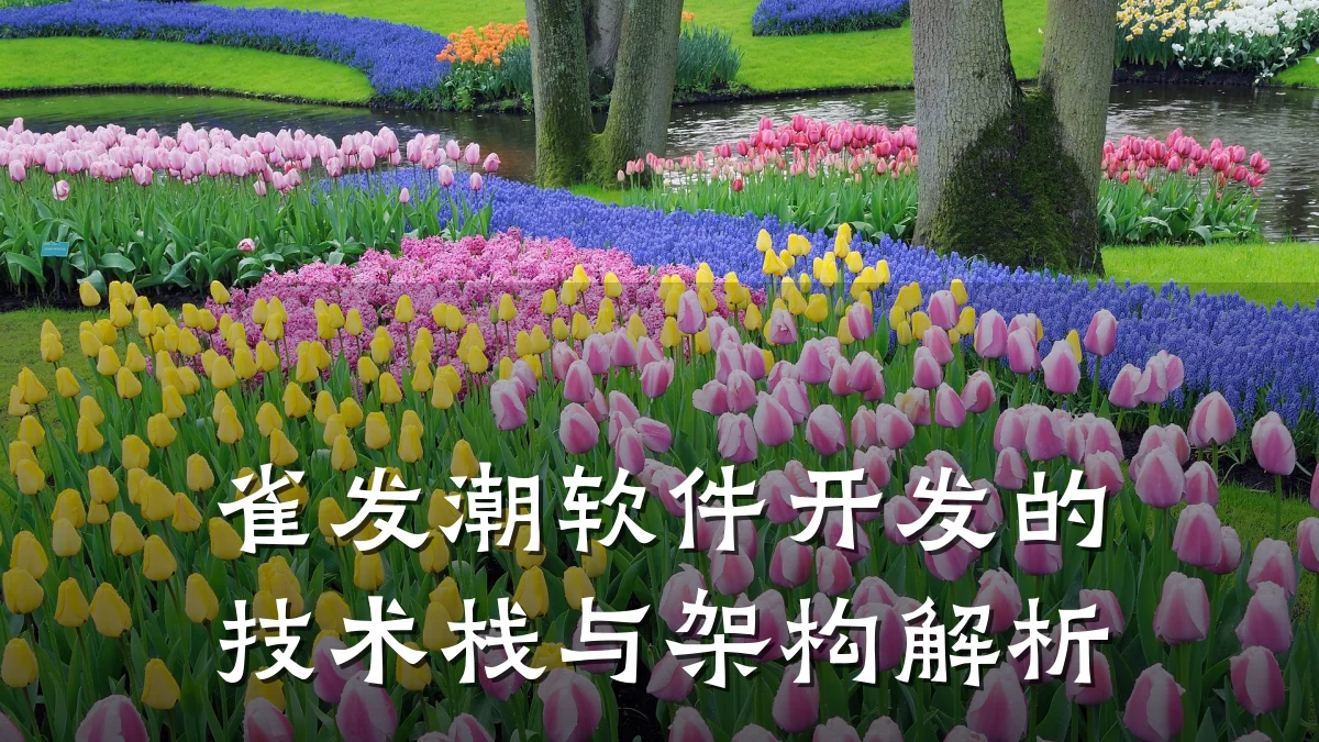 雀发潮软件开发的技术栈与架构解析