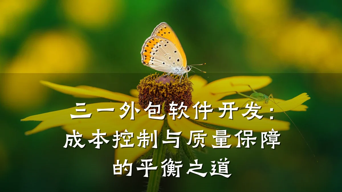三一外包软件开发:成本控制与质量保障的平衡之道