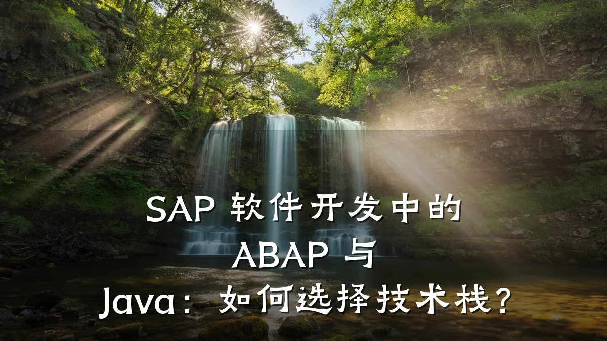 SAP 软件开发中的 ABAP 与 Java:如何选择技术栈?