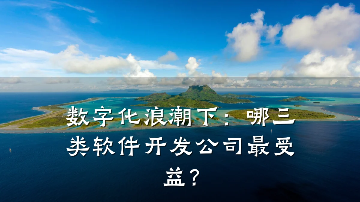 数字化浪潮下:哪三类软件开发公司最受益?