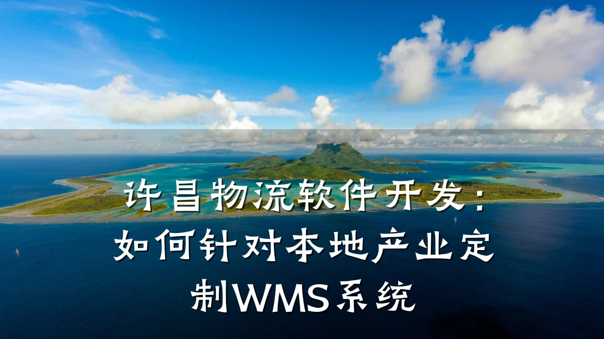 许昌物流软件开发:如何针对本地产业定制WMS系统