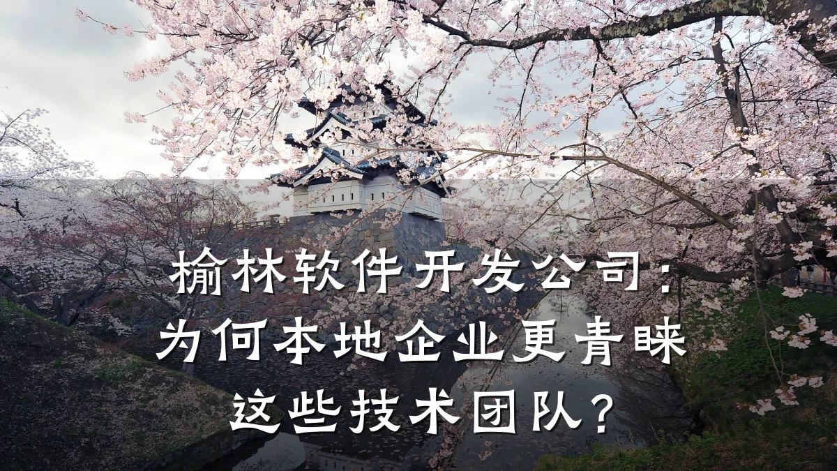 榆林软件开发公司:为何本地企业更青睐这些技术团队?