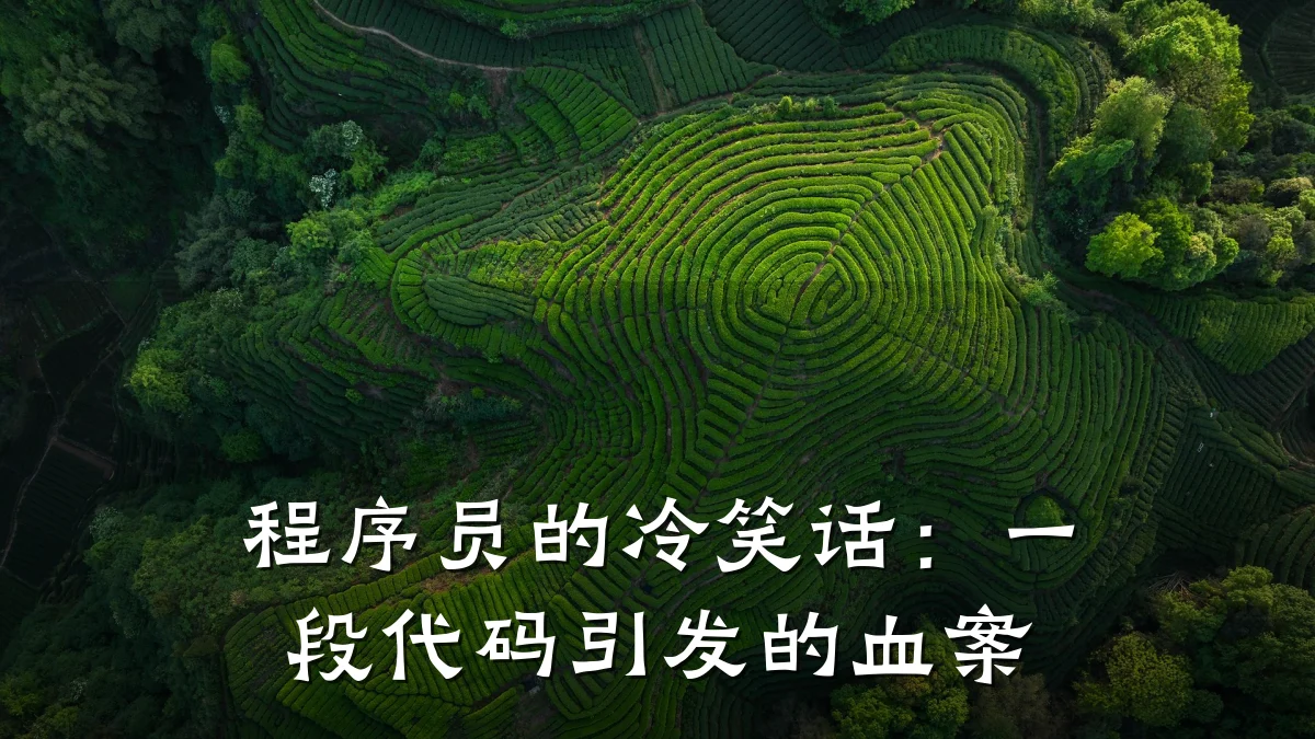 程序员的冷笑话:一段代码引发的血案