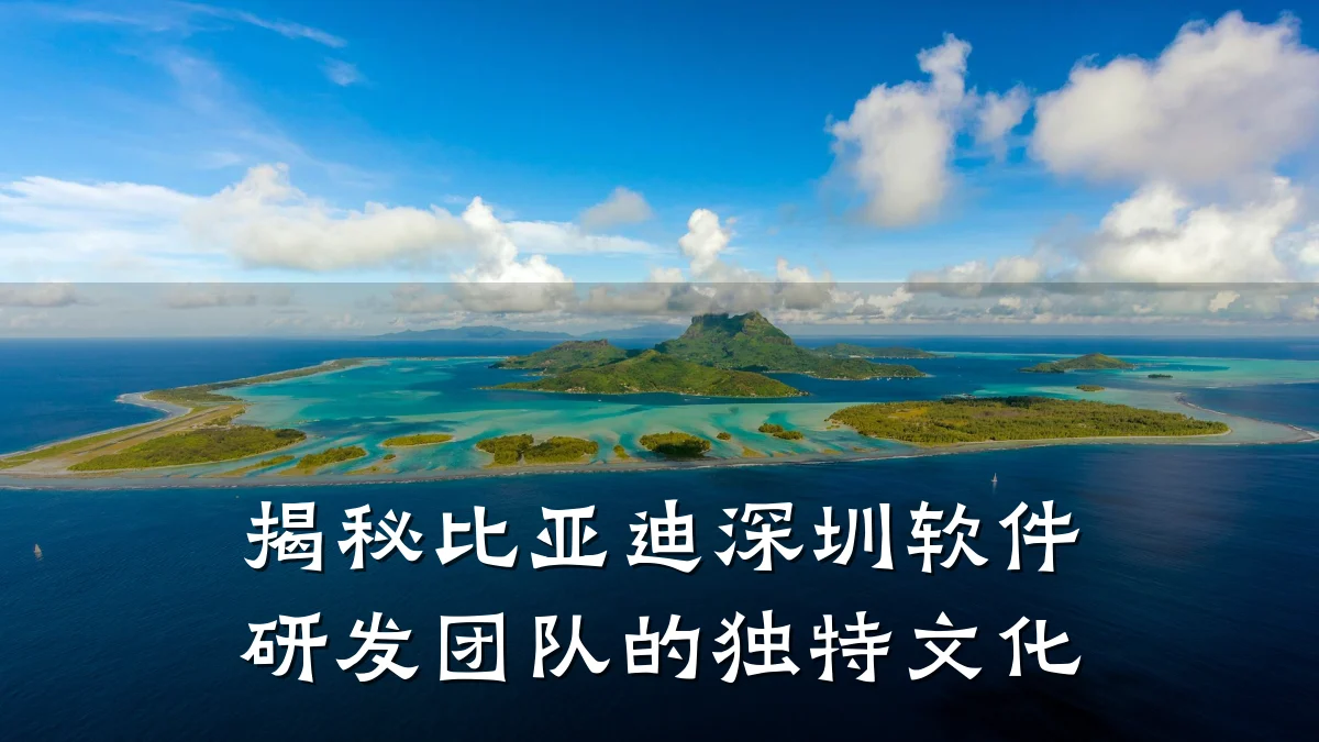 揭秘比亚迪深圳软件研发团队的独特文化