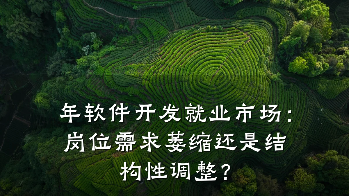 年软件开发就业市场:岗位需求萎缩还是结构性调整?
