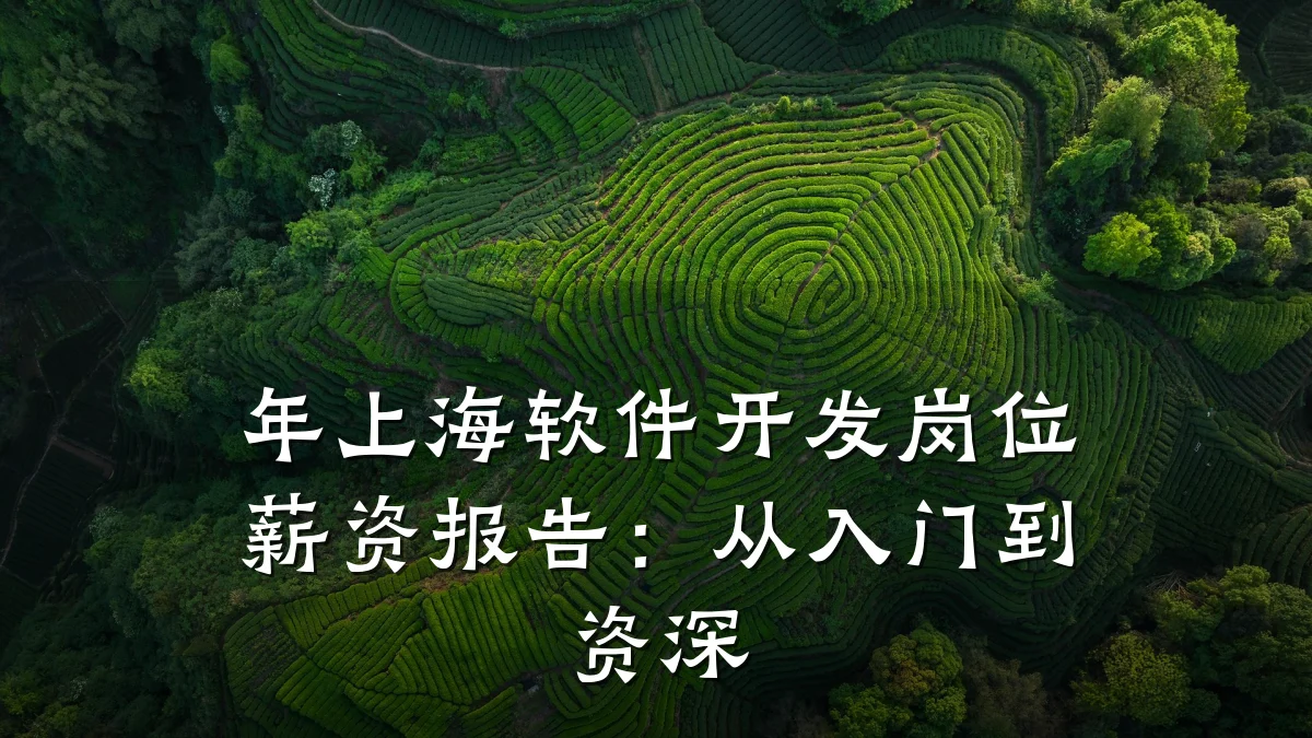 年上海软件开发岗位薪资报告：从入门到资深