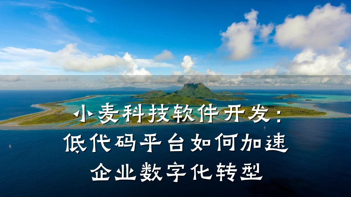 小麦科技软件开发:低代码平台如何加速企业数字化转型