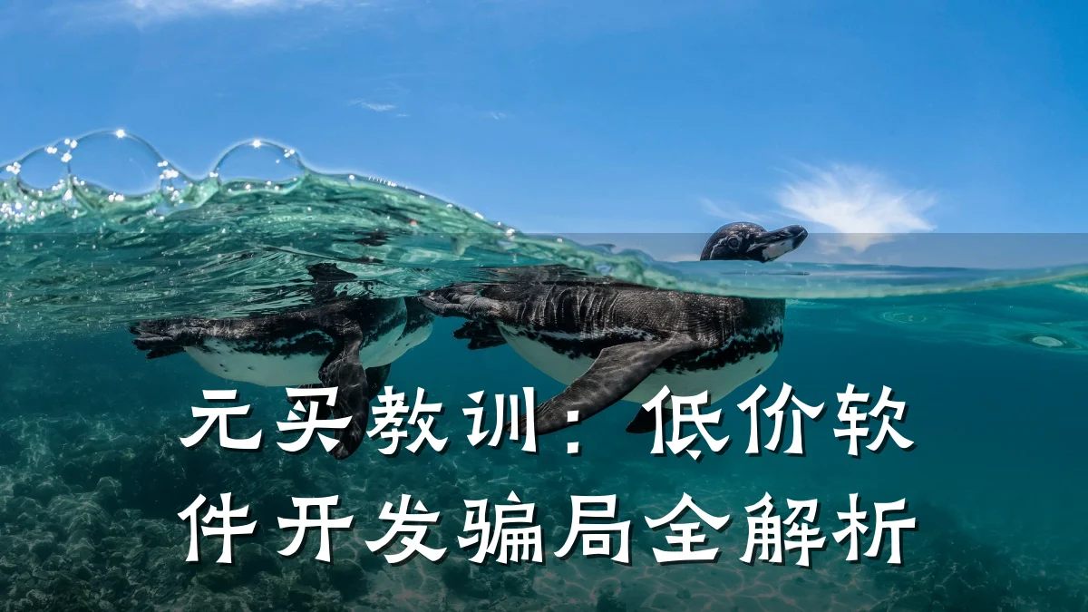 元买教训:低价软件开发骗局全解析