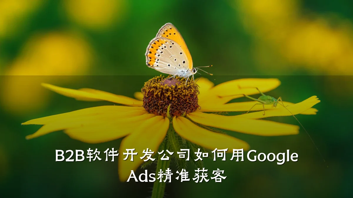 B2B软件开发公司如何用Google Ads精准获客