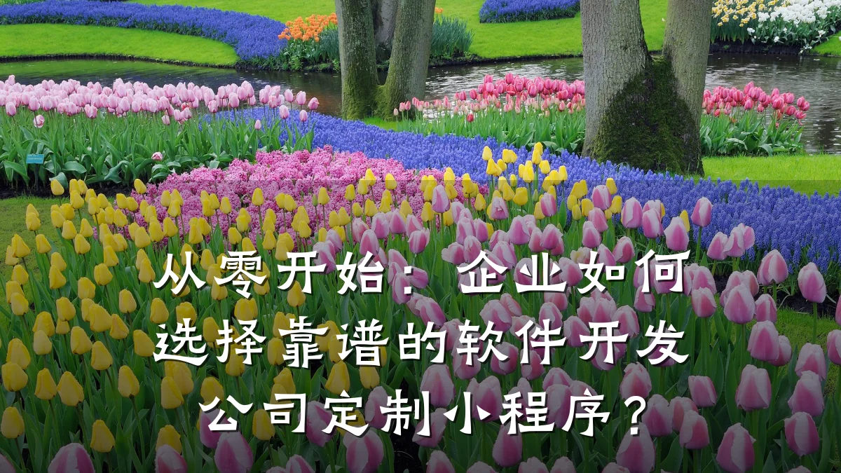 从零开始:企业如何选择靠谱的软件开发公司定制小程序?