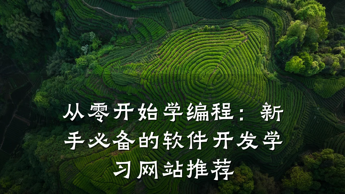 从零开始学编程:新手必备的软件开发学习网站推荐