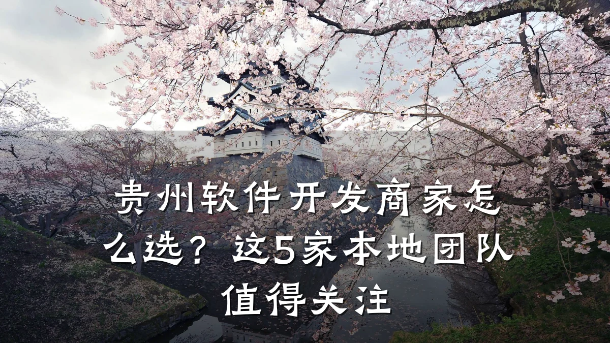 贵州软件开发商家怎么选？这5家本地团队值得关注