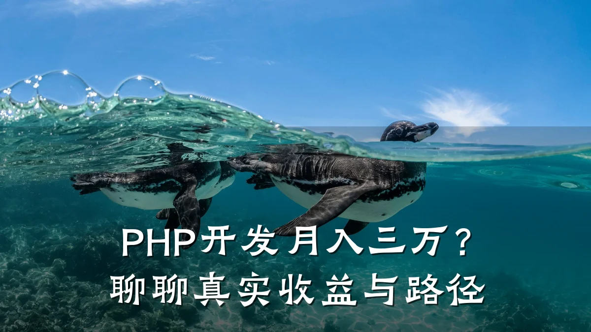 PHP开发月入三万?聊聊真实收益与路径