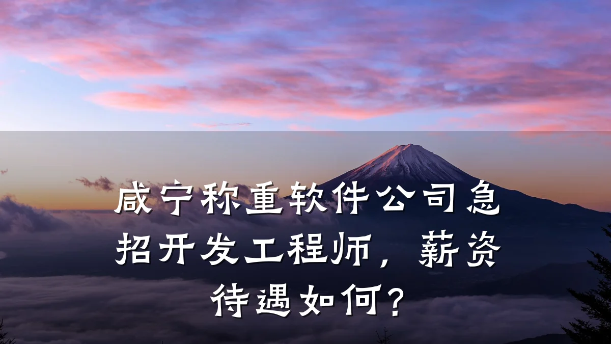 咸宁称重软件公司急招开发工程师,薪资待遇如何?
