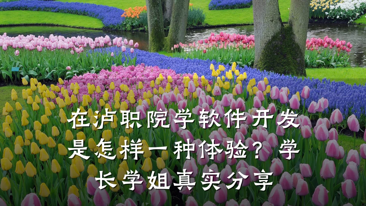 在泸职院学软件开发是怎样一种体验?学长学姐真实分享