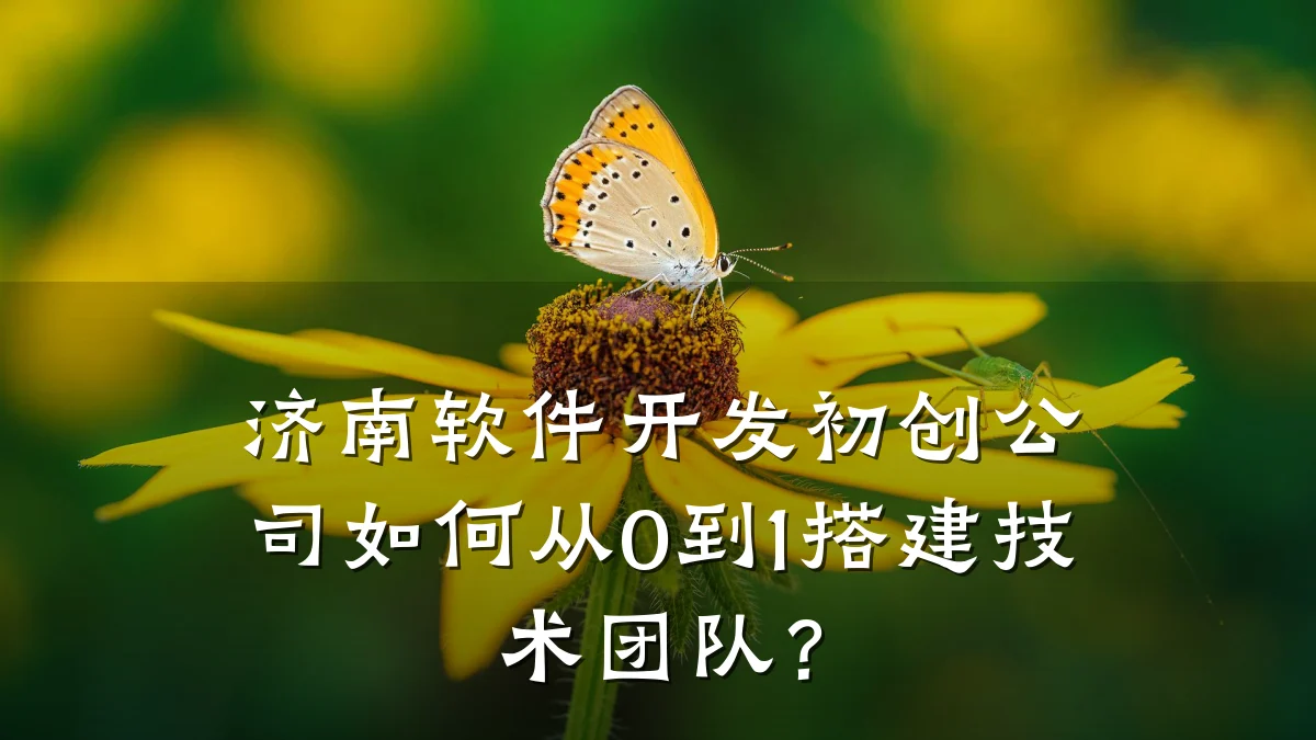 济南软件开发初创公司如何从0到1搭建技术团队?