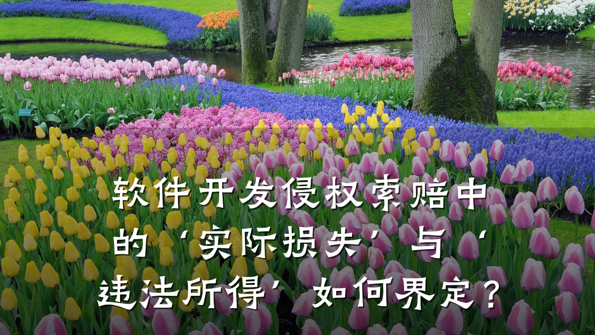 软件开发侵权索赔中的‘实际损失’与‘违法所得’如何界定?