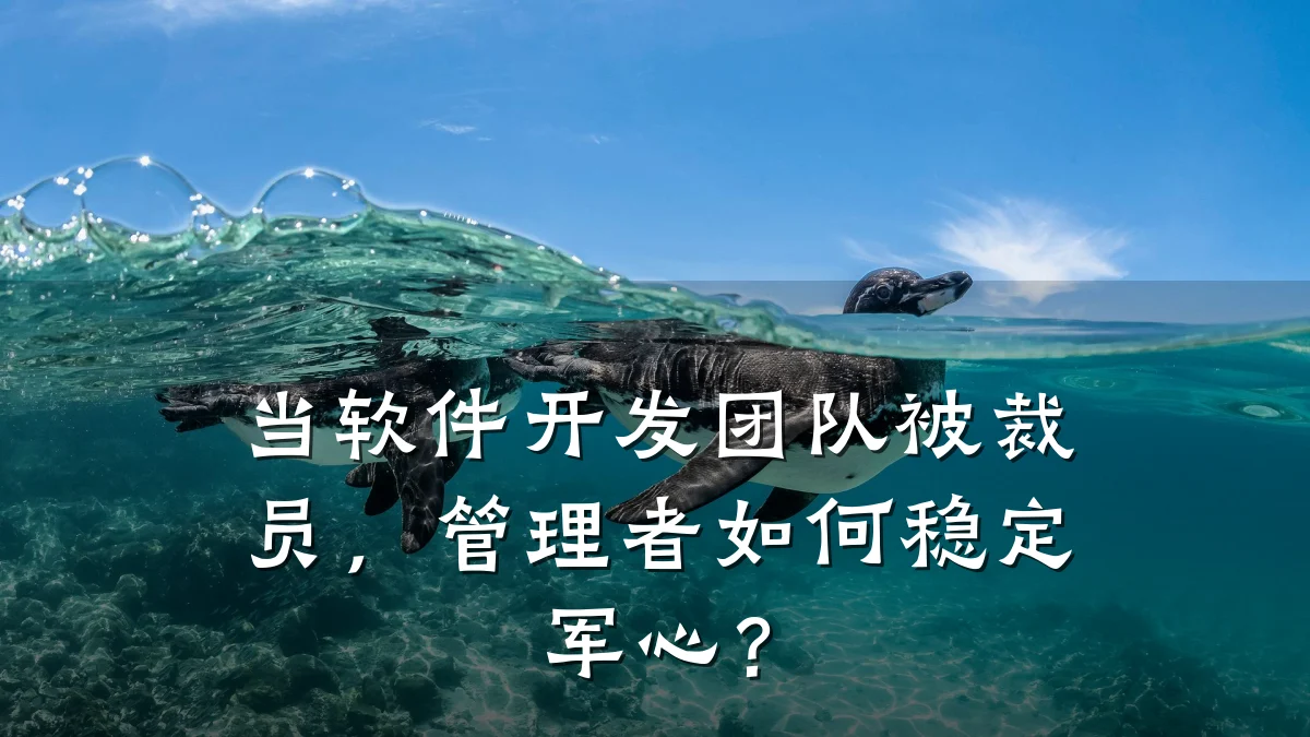 当软件开发团队被裁员,管理者如何稳定军心?