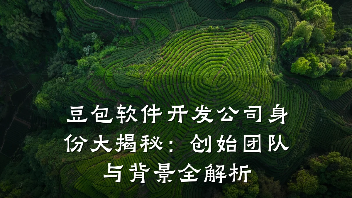 豆包软件开发公司身份大揭秘：创始团队与背景全解析