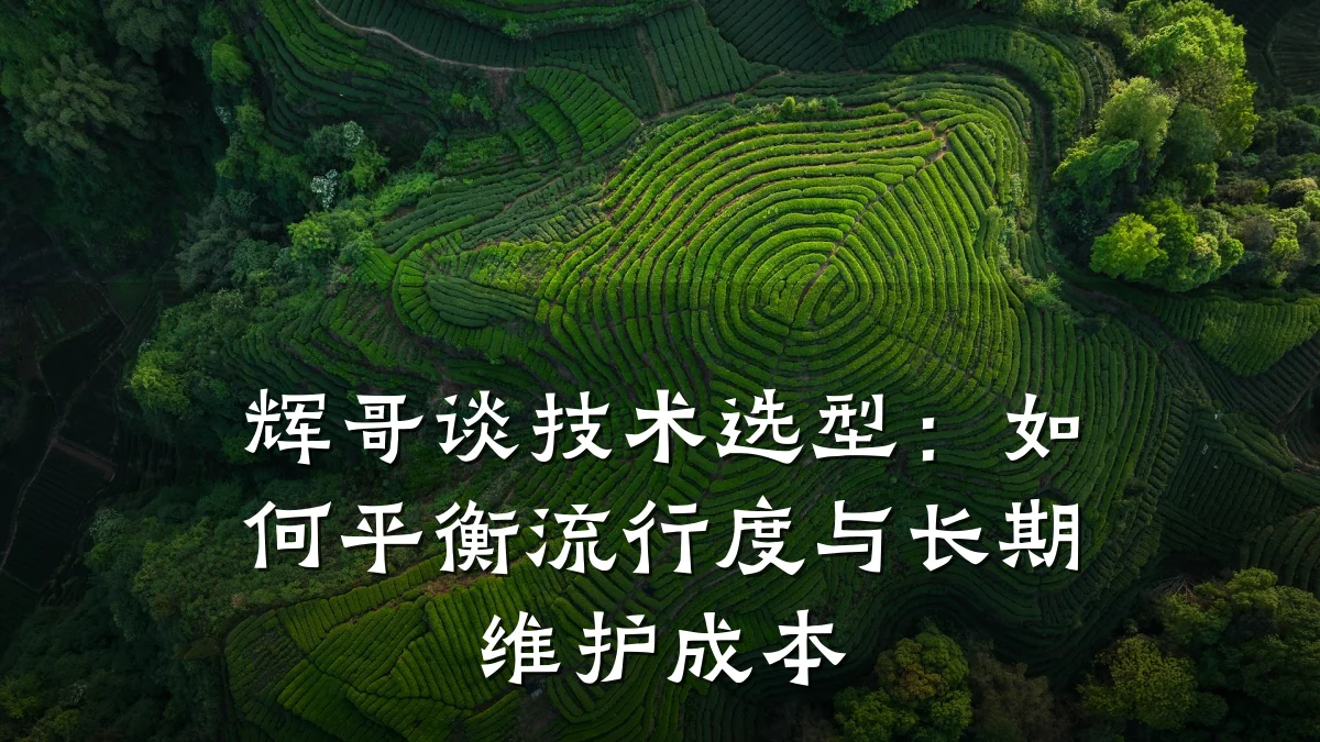 辉哥谈技术选型：如何平衡流行度与长期维护成本