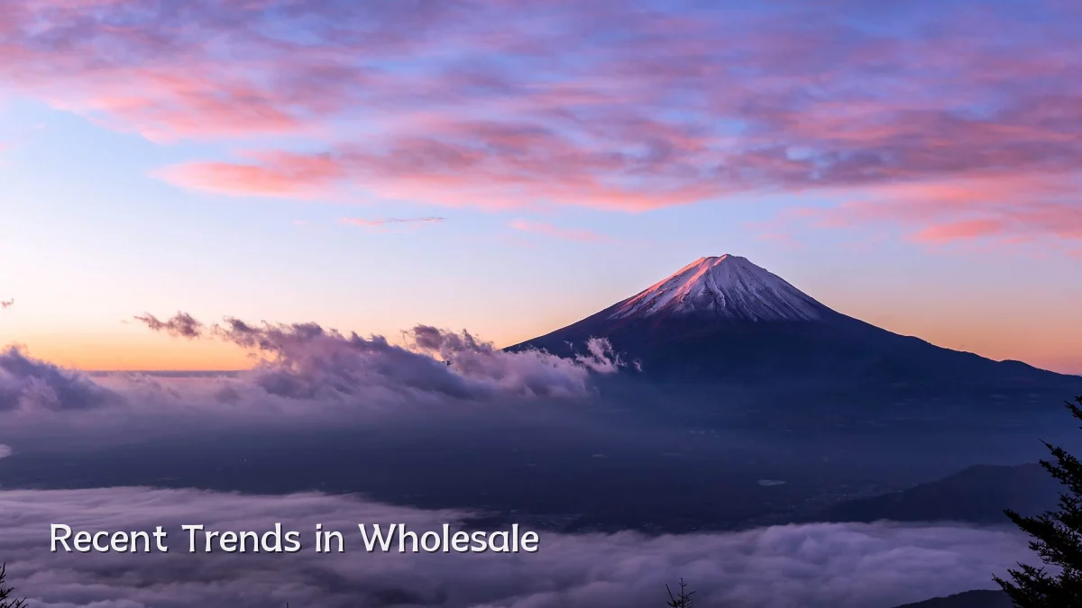 Recent Trends in Wholesale