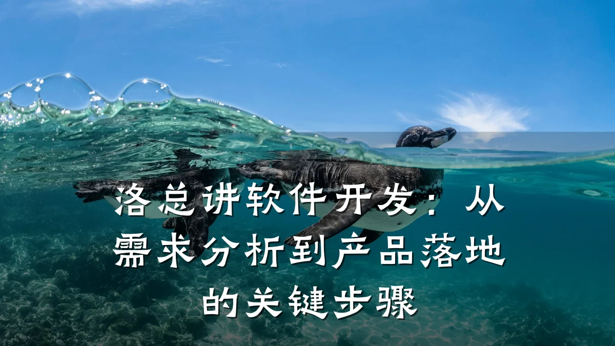 洛总讲软件开发：从需求分析到产品落地的关键步骤