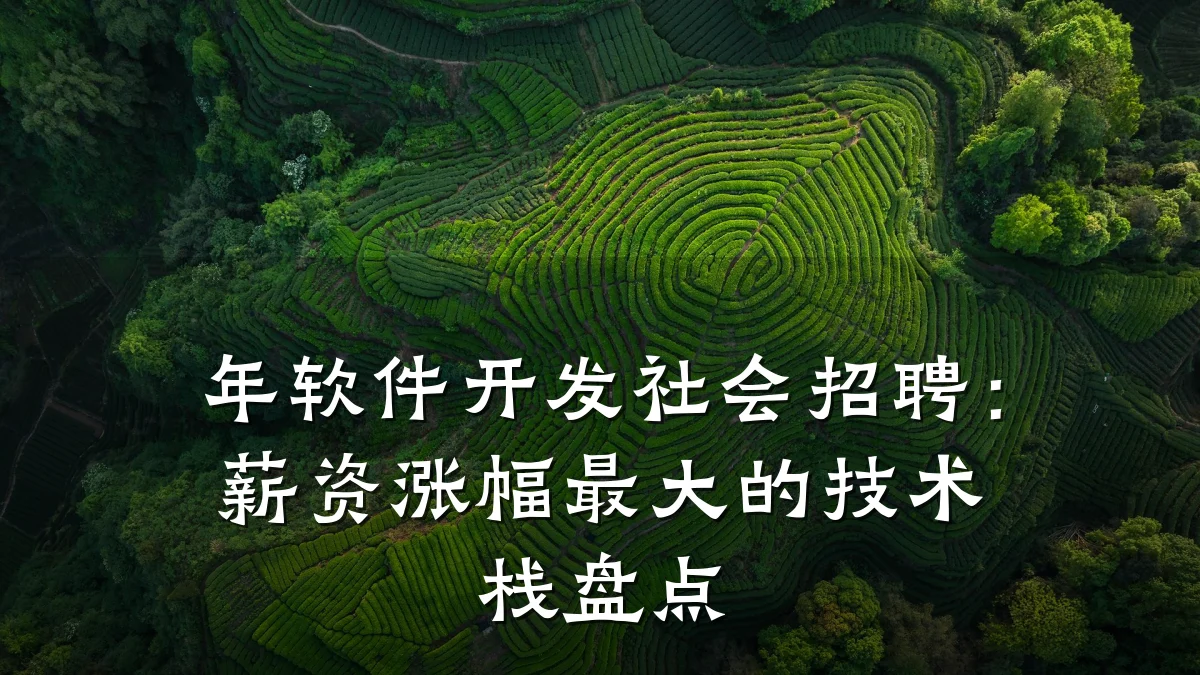 年软件开发社会招聘:薪资涨幅最大的技术栈盘点