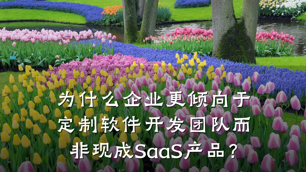 为什么企业更倾向于定制软件开发团队而非现成SaaS产品?