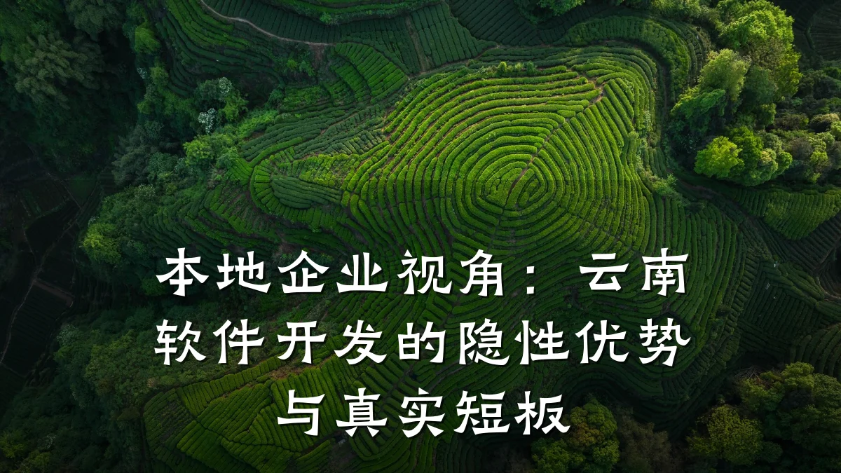 本地企业视角:云南软件开发的隐性优势与真实短板