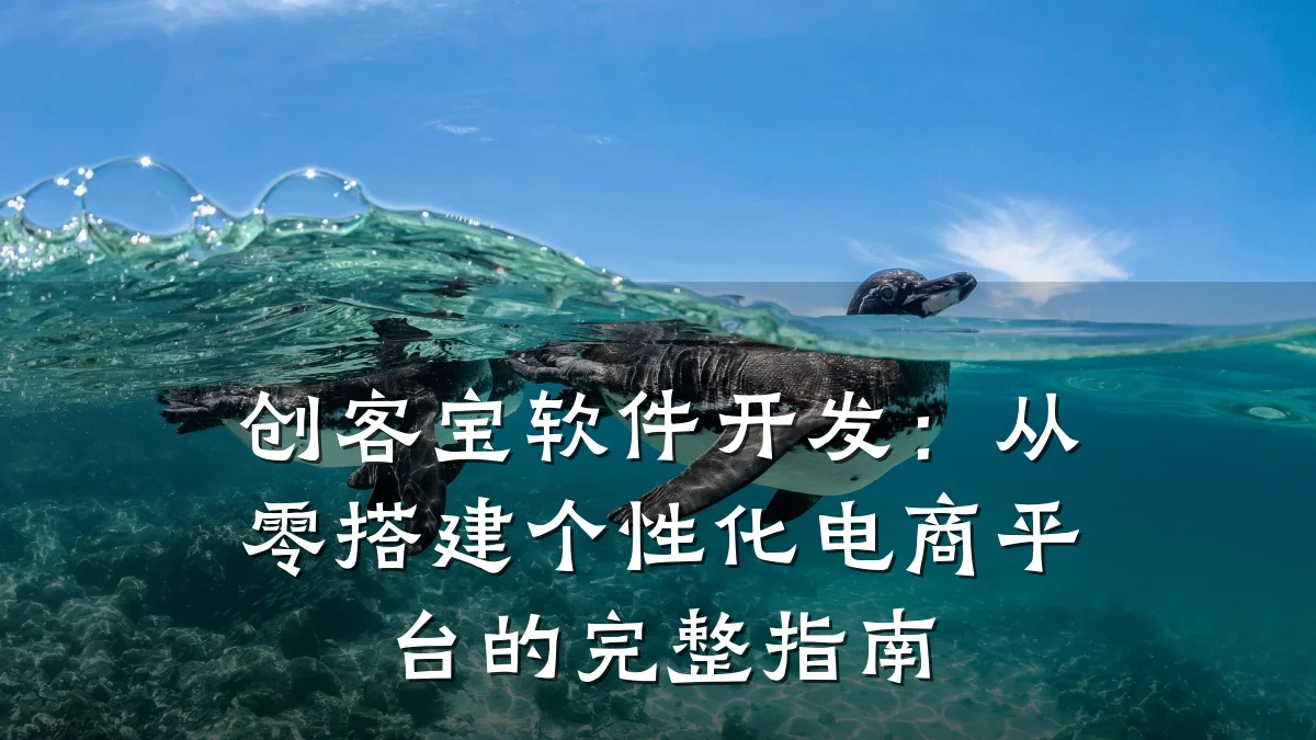 创客宝软件开发：从零搭建个性化电商平台的完整指南