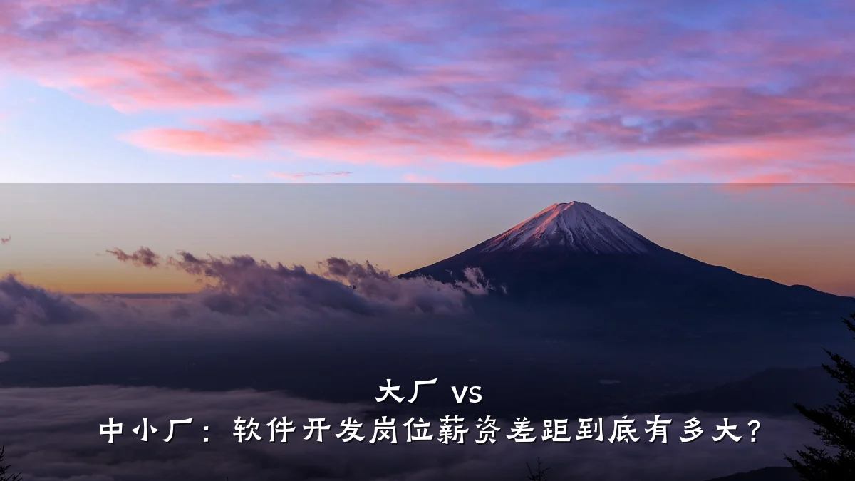 大厂 vs 中小厂:软件开发岗位薪资差距到底有多大?