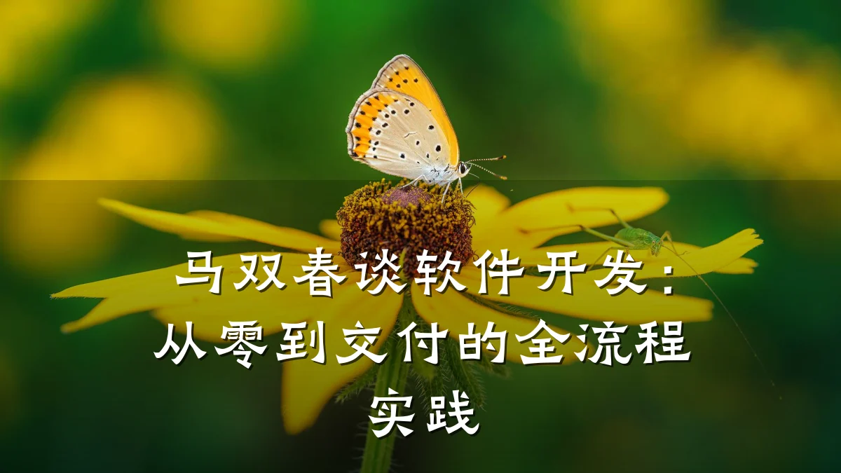 马双春谈软件开发:从零到交付的全流程实践