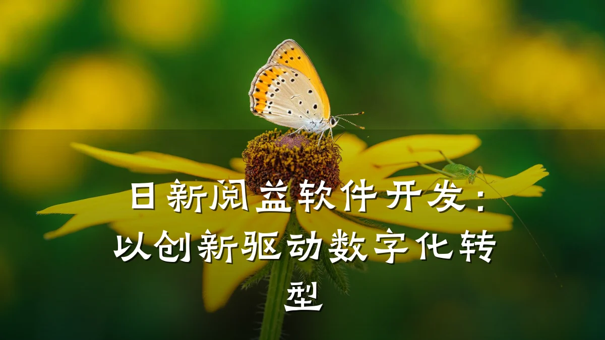 日新阅益软件开发：以创新驱动数字化转型