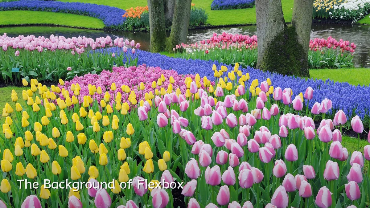 The Background of Flexbox