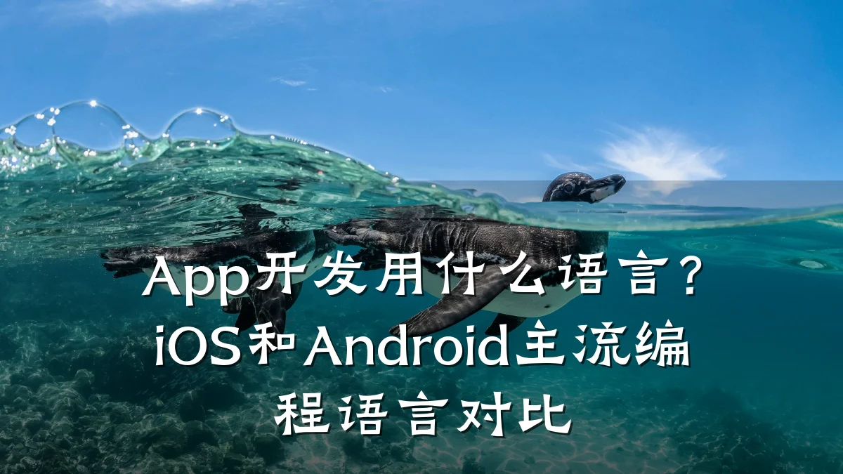 App开发用什么语言?iOS和Android主流编程语言对比
