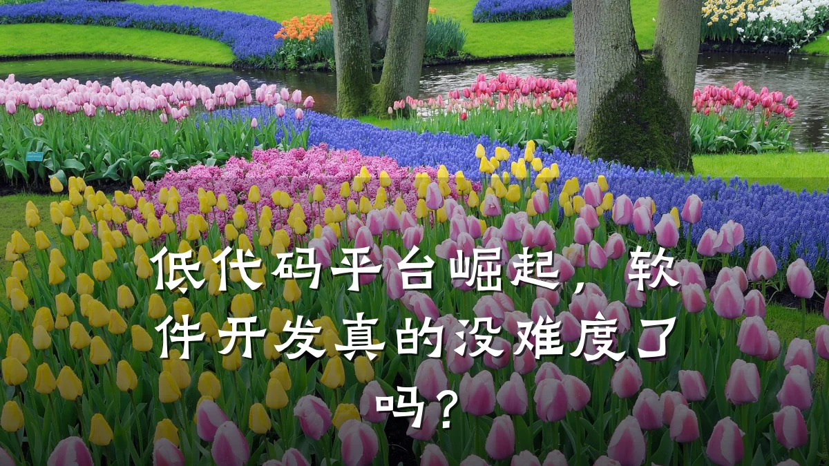 低代码平台崛起,软件开发真的没难度了吗?