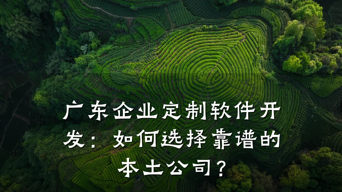 广东企业定制软件开发:如何选择靠谱的本土公司?