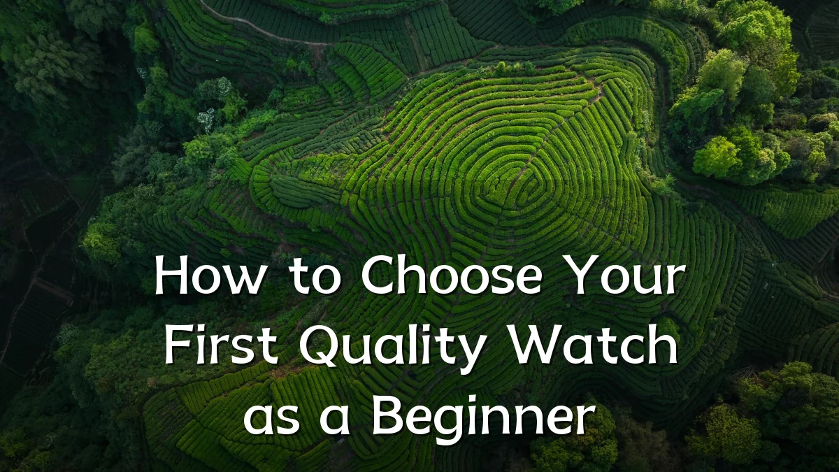 How to Choose Your First Quality Watch as a Beginner