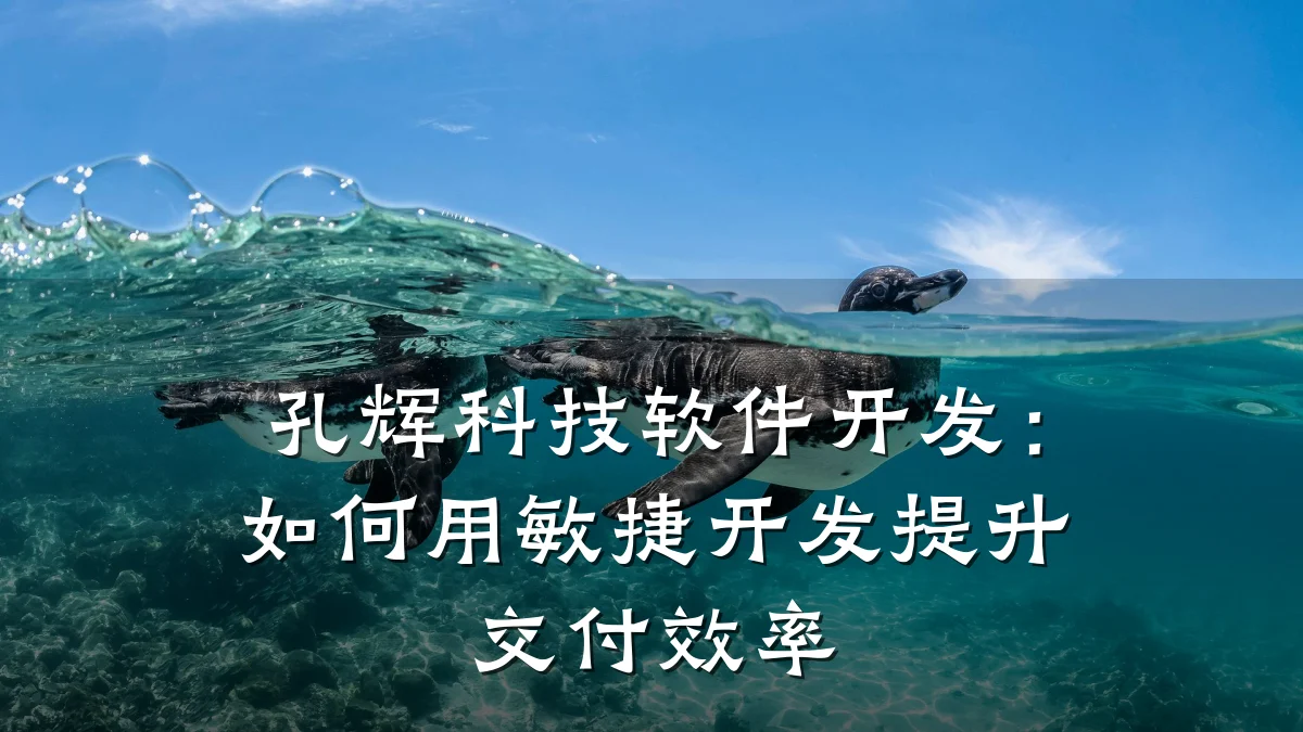 孔辉科技软件开发:如何用敏捷开发提升交付效率