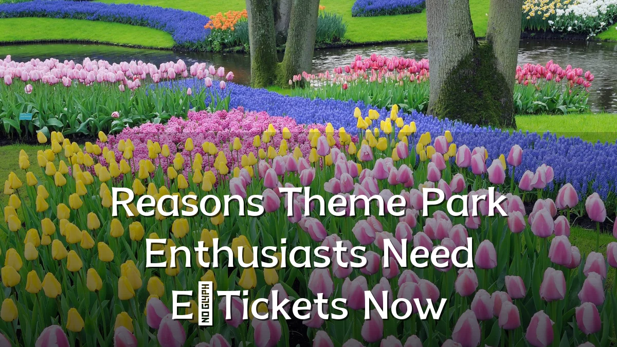 Reasons Theme Park Enthusiasts Need E‑Tickets Now